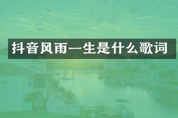 抖音风雨一生是什么歌词