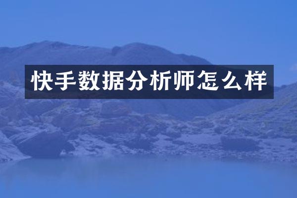 快手数据分析师怎么样