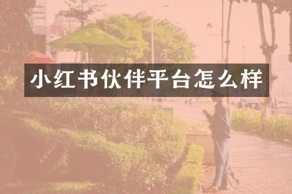小红书伙伴平台怎么样