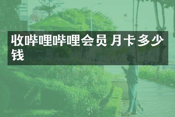 收哔哩哔哩会员月卡多少钱