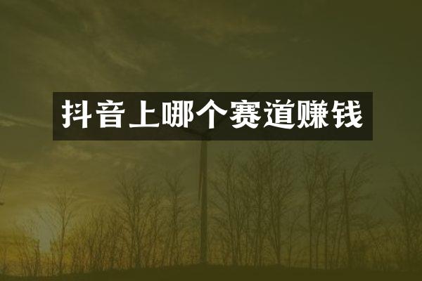 抖音上哪个赛道赚钱