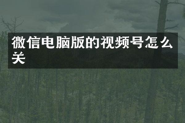 微信电脑版的视频号怎么关