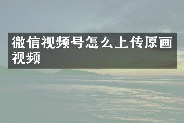 微信视频号怎么上传原画视频