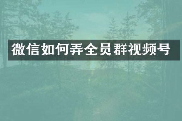 微信如何弄全员群视频号