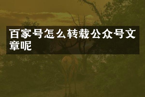 百家号怎么转载公众号文章呢