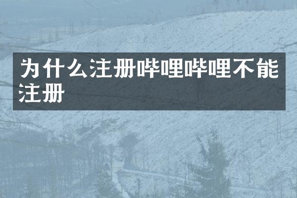 为什么注册哔哩哔哩不能注册