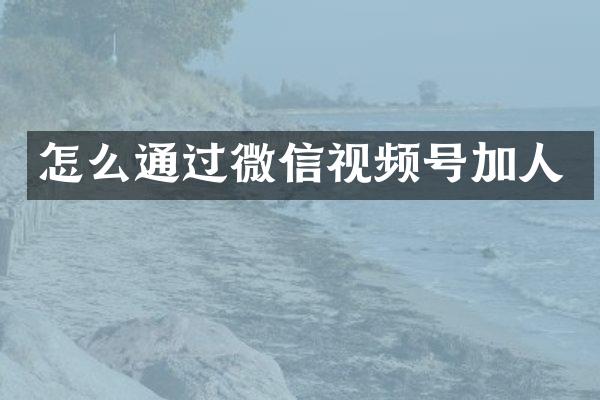 怎么通过微信视频号加人