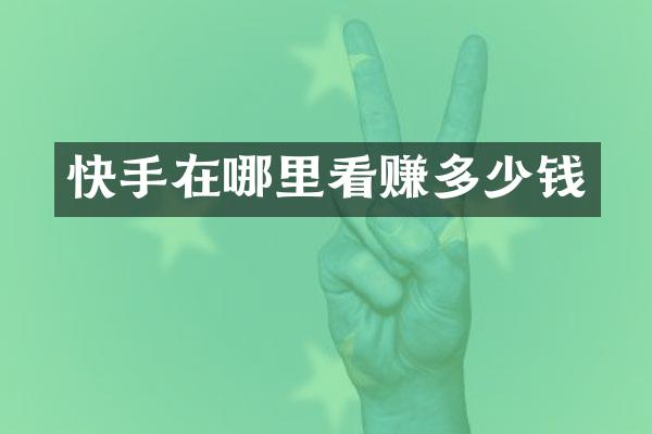 快手在哪里看赚多少钱
