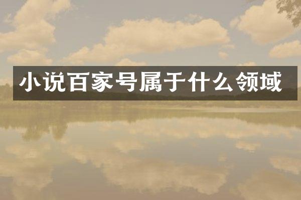 小说百家号属于什么领域
