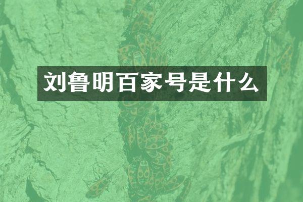 刘鲁明百家号是什么