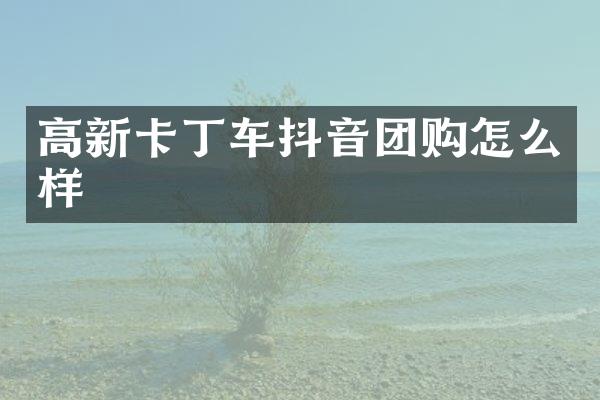 高新卡丁车抖音团购怎么样