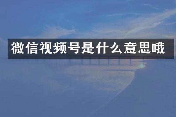 微信视频号是什么意思哦