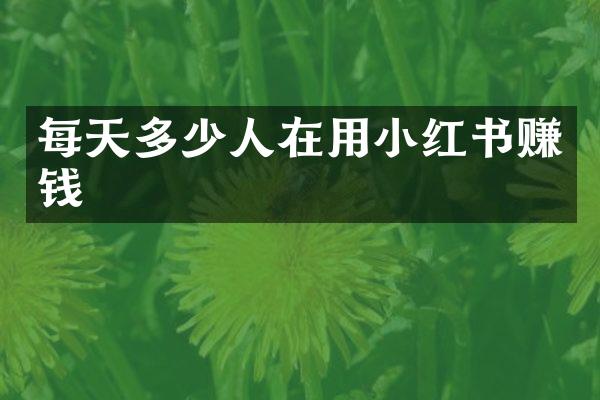每天多少人在用小红书赚钱