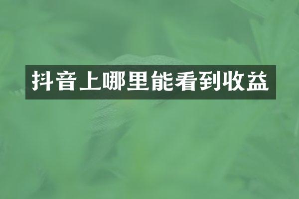 抖音上哪里能看到收益