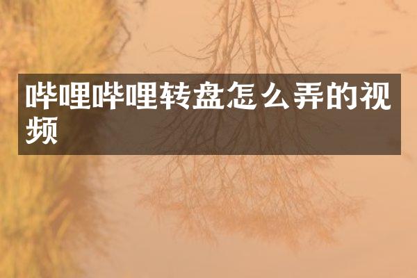 哔哩哔哩转盘怎么弄的视频