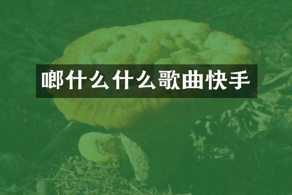 啷什么什么歌曲快手