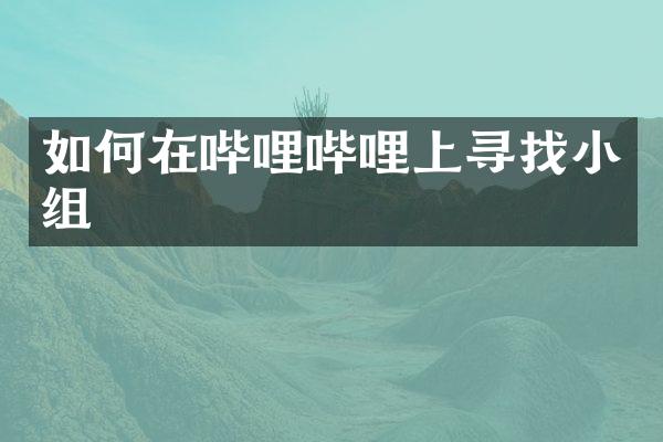 如何在哔哩哔哩上寻组