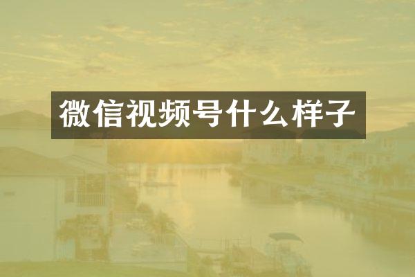 微信视频号什么样子