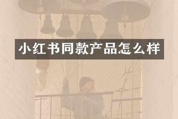 小红书同款产品怎么样