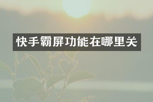 快手霸屏功能在哪里关