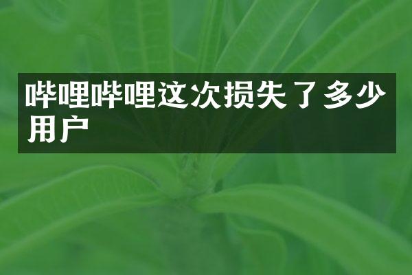 哔哩哔哩这次损失了多少用户