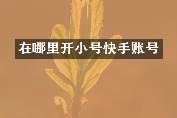 在哪里开小号快手账号