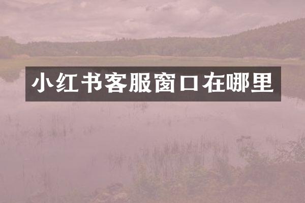 小红书客服窗口在哪里