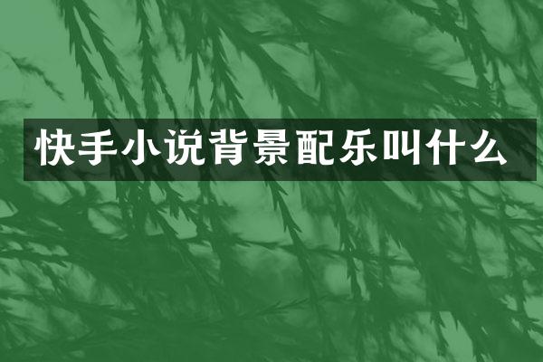 快手小说背景配乐叫什么