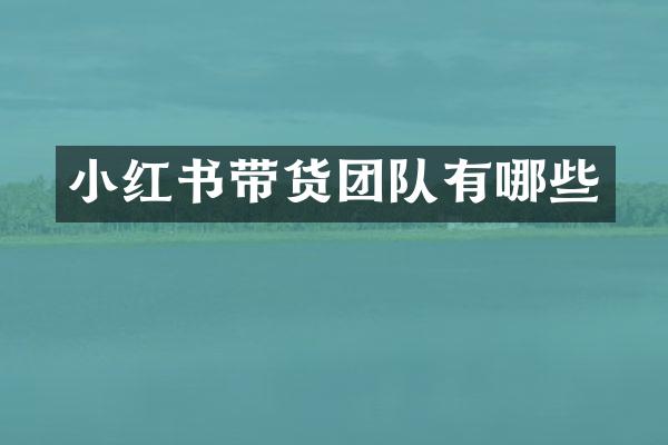 小红书带货团队有哪些