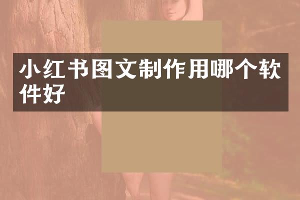 小红书图文制作用哪个软件好