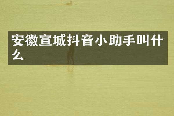 安徽宣城抖音小助手叫什么