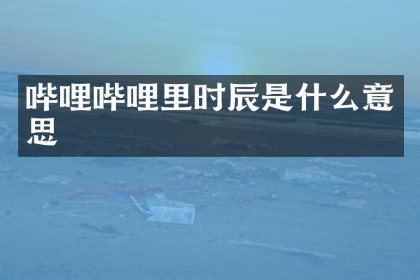 哔哩哔哩里时辰是什么意思