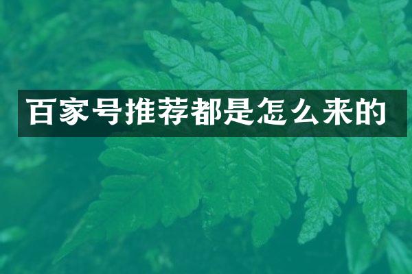 百家号推荐都是怎么来的