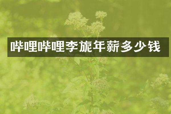 哔哩哔哩李旎年薪多少钱