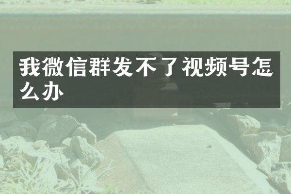 我微信不了视频号怎么办