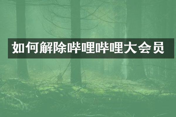 如何解除哔哩哔哩大会员