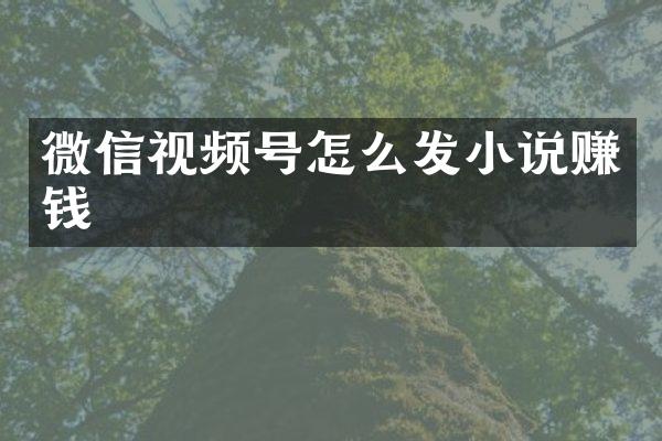 微信视频号怎么发小说赚钱