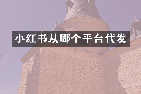 小红书从哪个平台代发