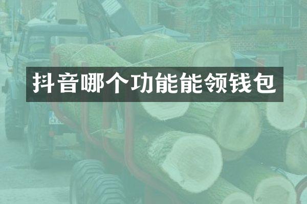 抖音哪个功能能领钱包