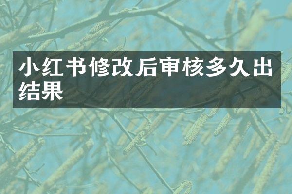 小红书修改后审核多久出结果