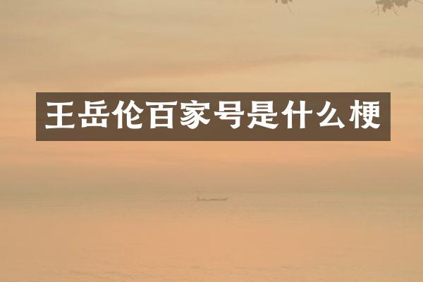 王岳伦百家号是什么梗