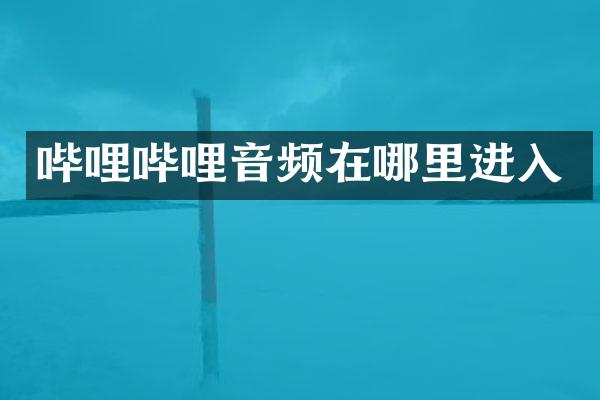 哔哩哔哩音频在哪里进入