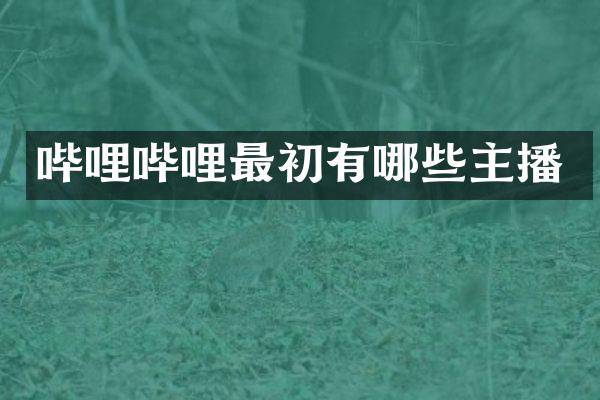 哔哩哔哩最初有哪些主播