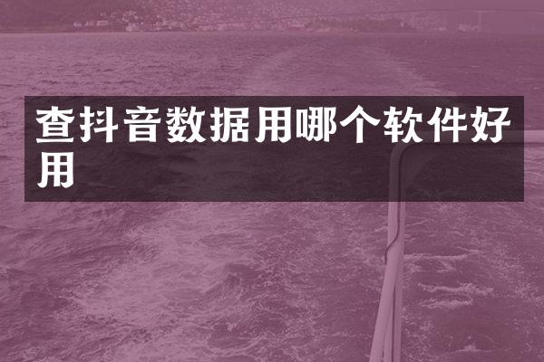 查抖音数据用哪个软件好用