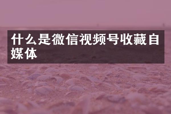 什么是微信视频号收藏自媒体