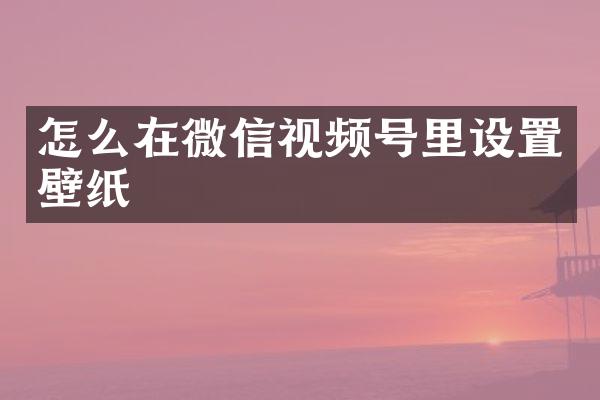怎么在微信视频号里设置壁纸