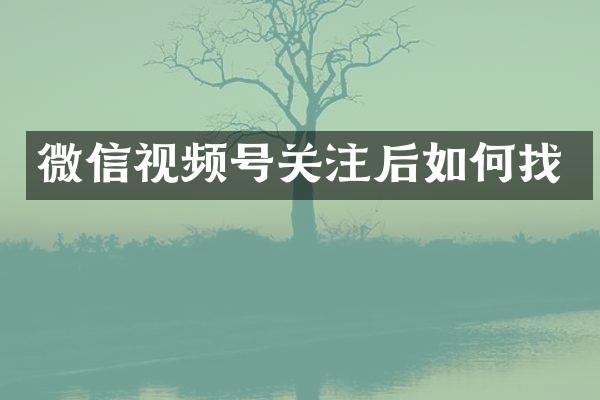 微信视频号关注后如何找