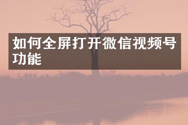 如何全屏打开微信视频号功能