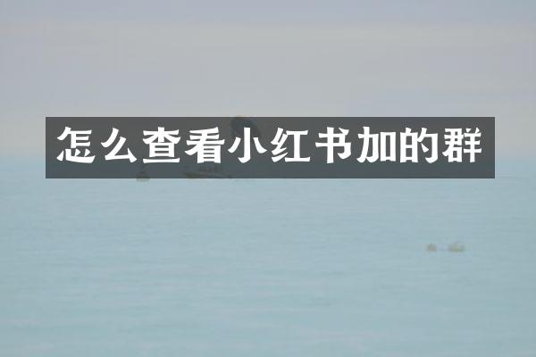 怎么查看小红书加的群