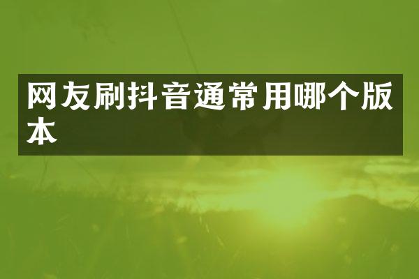 网友刷抖音通常用哪个版本